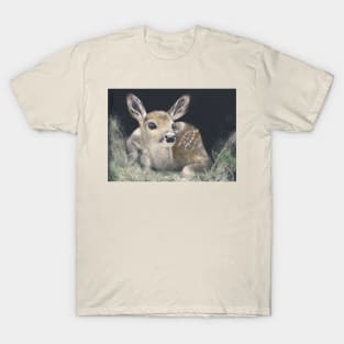 Spring Visitor -Fawn T-Shirt